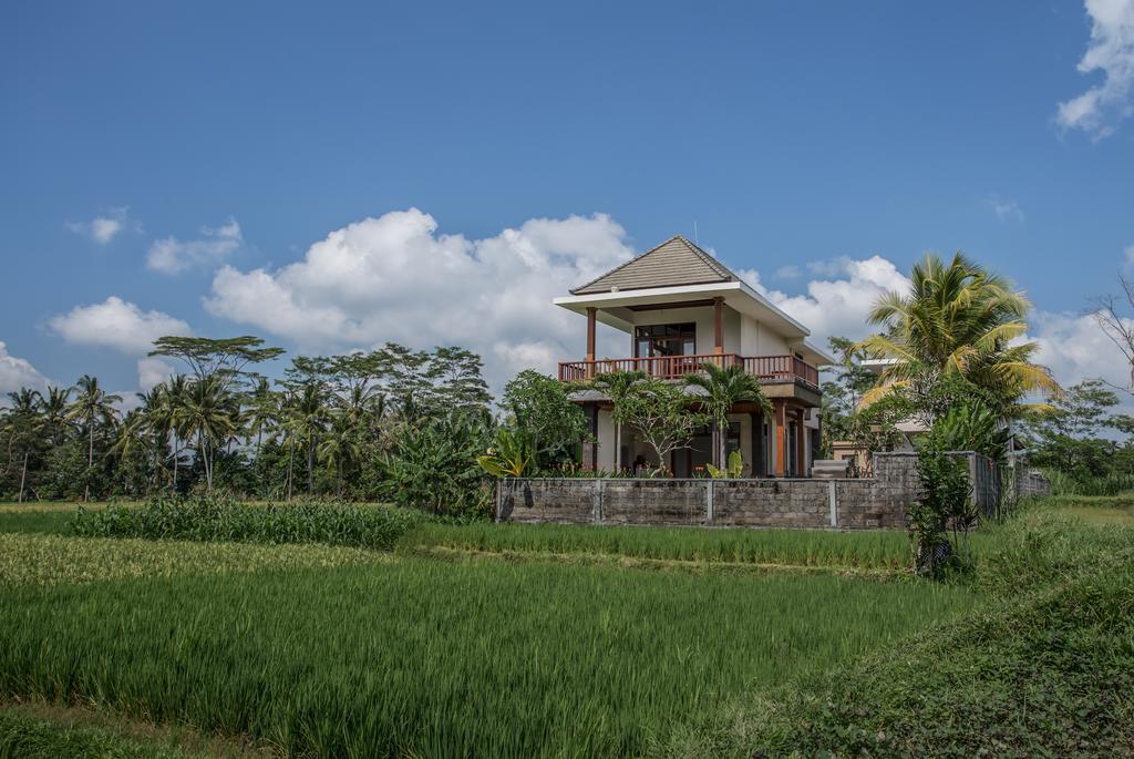 Alosta Luxury Private Villa Ubud  Bagian luar foto