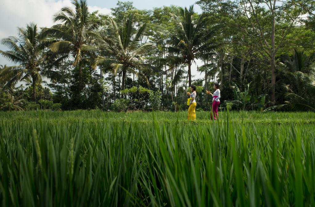 Alosta Luxury Private Villa Ubud  Bagian luar foto