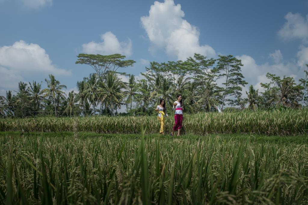 Alosta Luxury Private Villa Ubud  Bagian luar foto