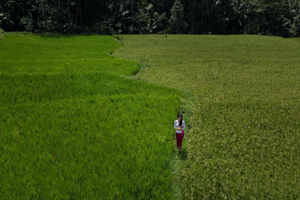 Alosta Luxury Private Villa Ubud  Bagian luar foto