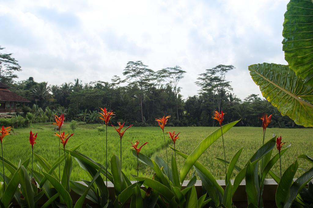 Alosta Luxury Private Villa Ubud  Bagian luar foto